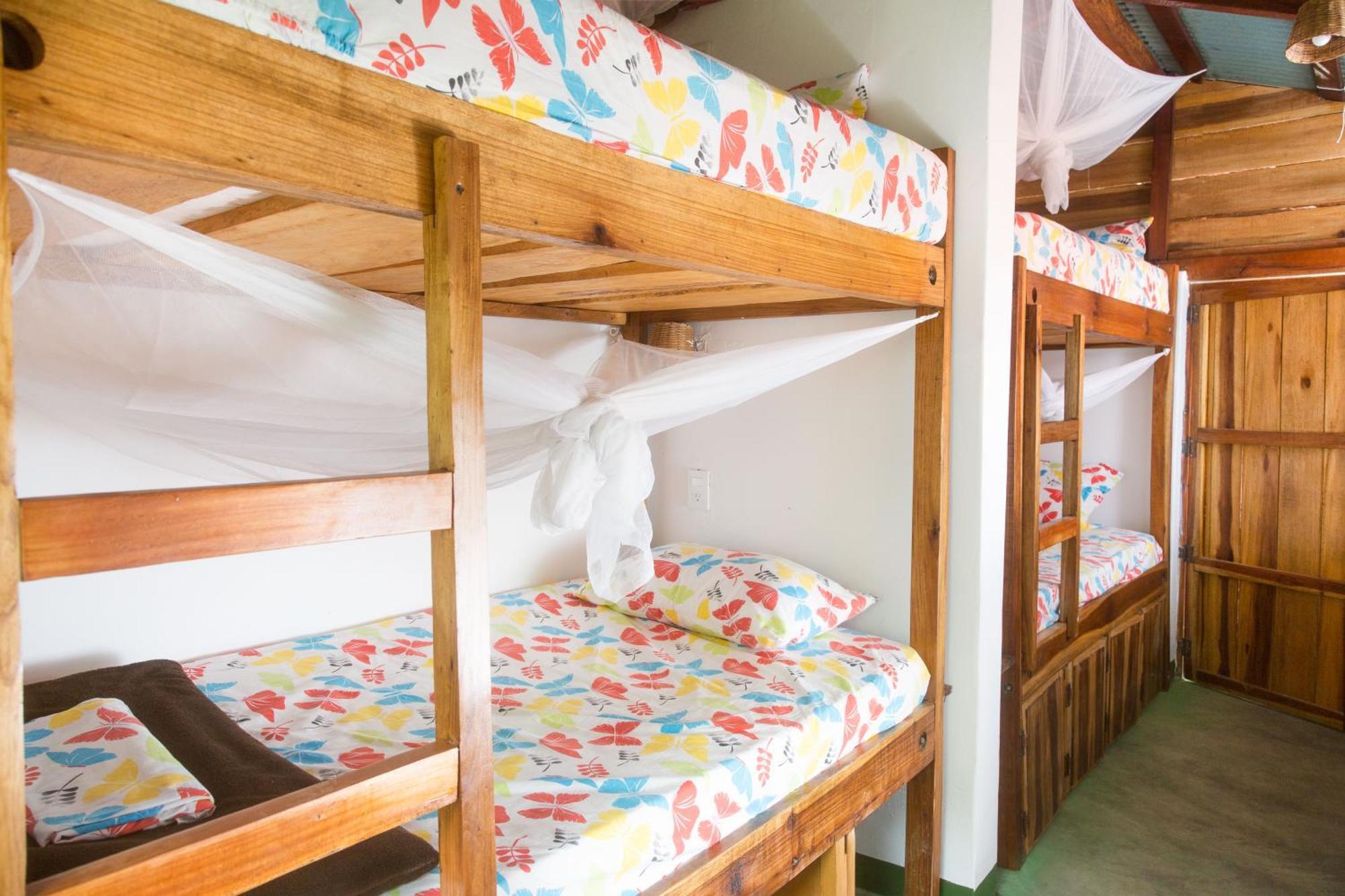 Mundo Nuevo Eco Lodge Минка Стая снимка